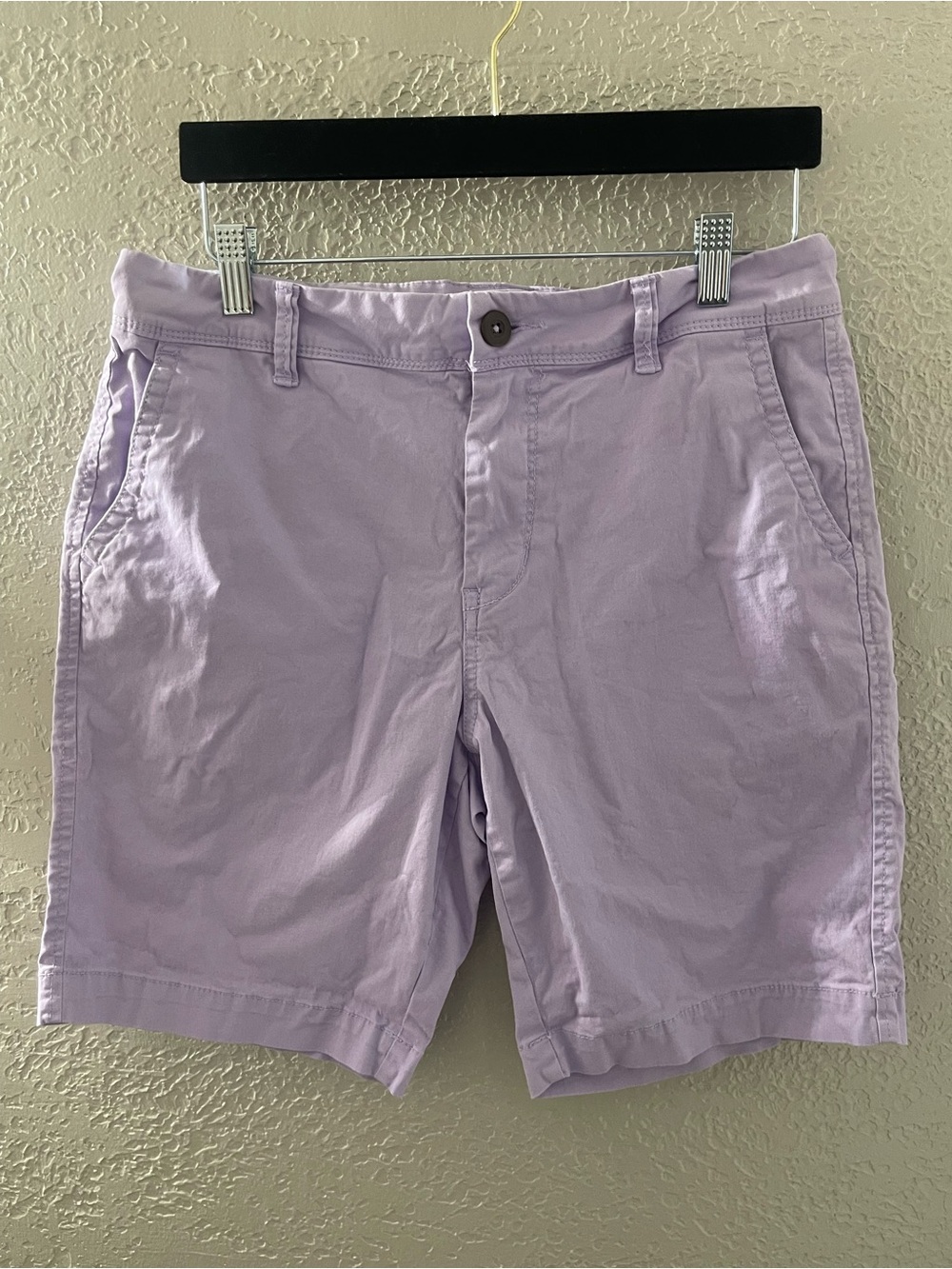 Vintage‎ Y2K Aeropostale Men's Light Lavender Flat Front Shorts Size 30
